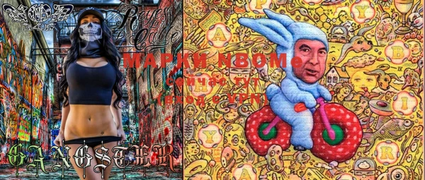 PSILOCYBIN Нефтегорск