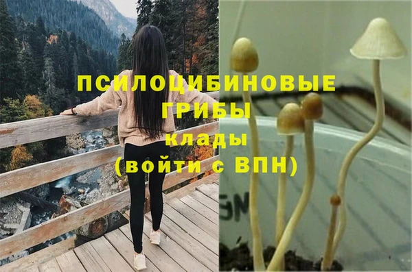 PSILOCYBIN Нефтегорск