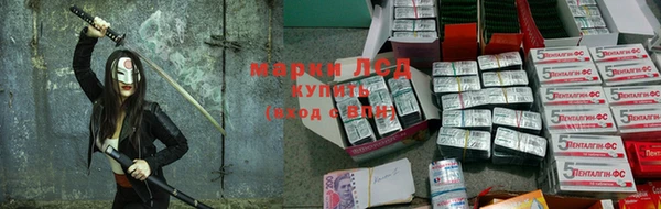 PSILOCYBIN Нефтегорск