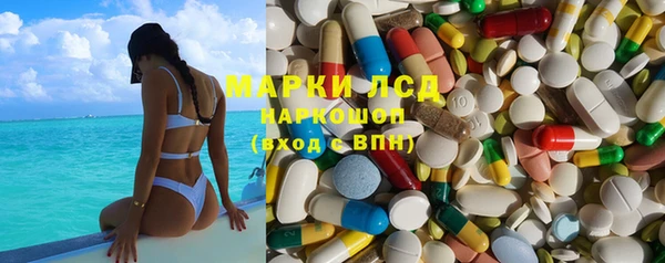 PSILOCYBIN Нефтегорск
