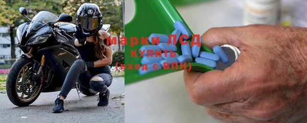 сатива Новокубанск