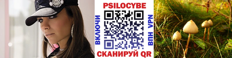сколько стоит площадка телеграм Псилоцибиновые грибы ЛСД Шиханы